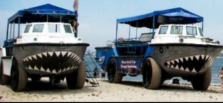 Visitas guiadas en barco